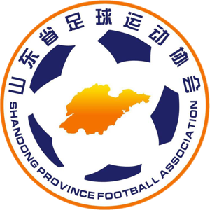 山东女足U18队标,山东女足U18图片