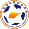 山东全运女足队标,山东全运女足图片